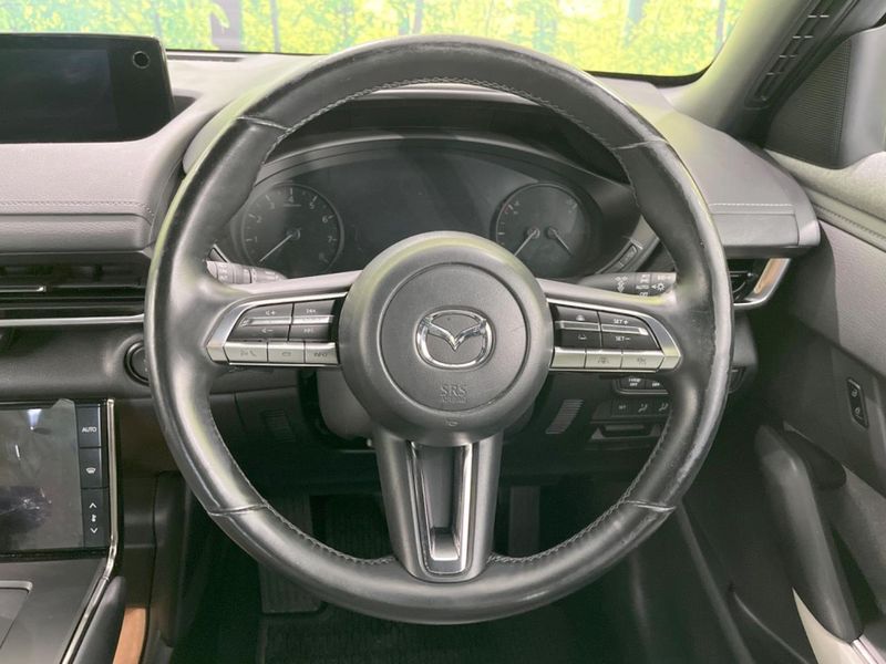 2021 Mazda MX-30 5AA-DREJ3P (UW-6a56f96d3e366)[20]