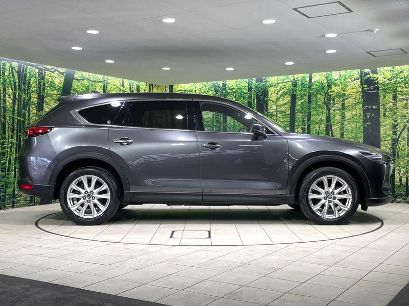2018 Mazda CX-8 3da-kg2p (UW-6a56fa7c7d69e)[21]