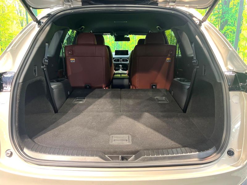 2021 Mazda CX-8 3da-kg2p (UW-6a56fa7f14386)[18]