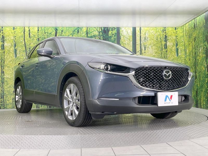 2022 Mazda CX-30 5BA-DMEP (UW-6a584a38484ce)[18]