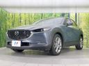 2022 Mazda CX-30 5BA-DMEP (UW-6a584a38484ce)[19]