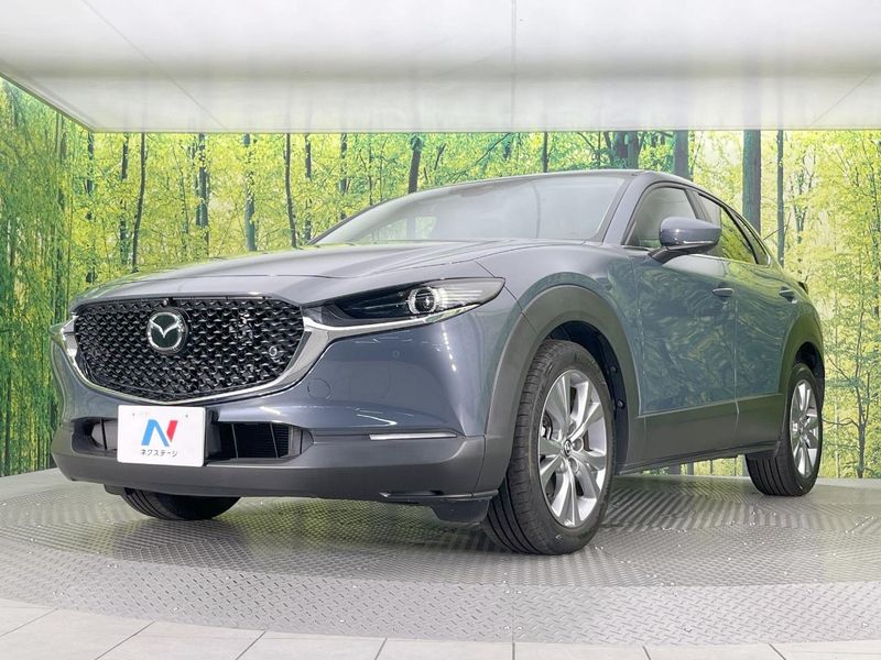 2022 Mazda CX-30 5BA-DMEP (UW-6a584a38484ce)[19]