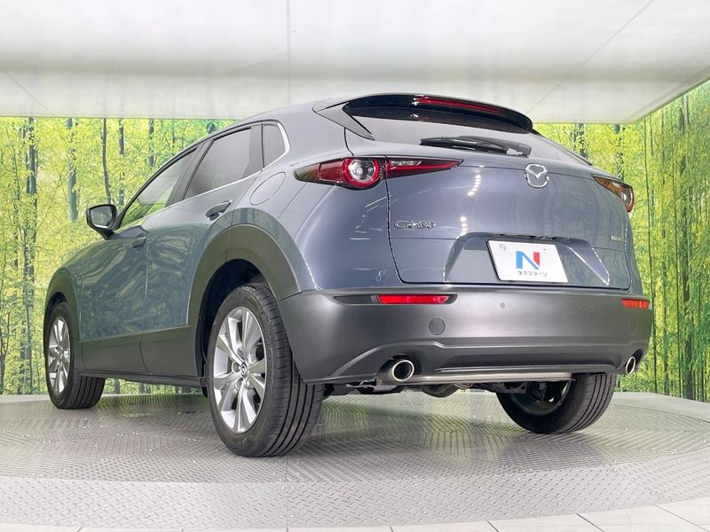 2022 Mazda CX-30 5BA-DMEP (UW-6a584a38484ce)[23]