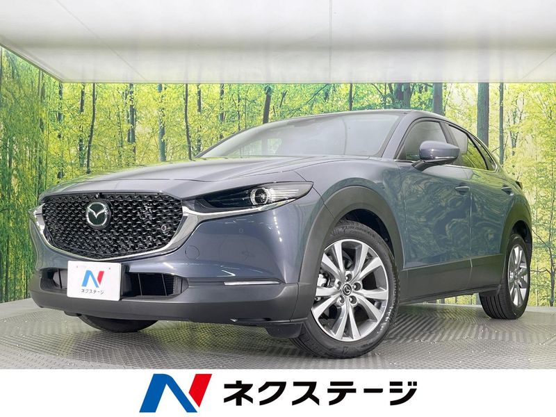 2022 Mazda CX-30 5BA-DMEP (UW-6a584a38484ce)[3]