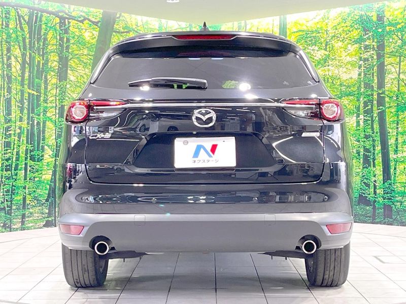 2019 Mazda CX-8 3da-kg2p (UW-6a584b1fc44f8)[10]