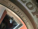 2023 Toyota Land Cruiser Prado 3BA-TRJ150W (UW-6a584c877502b)[10]