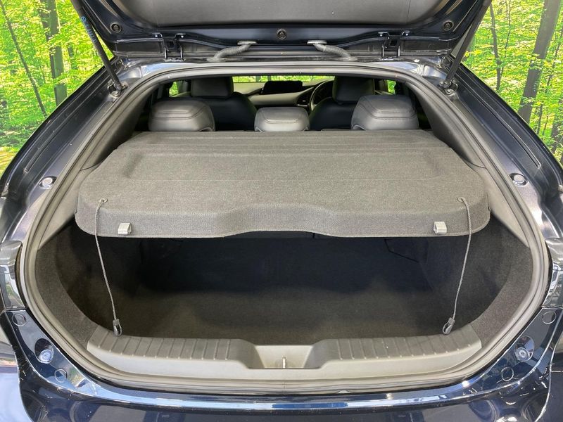 2019 Mazda Mazda 3 Fastback 5BA-BPFP (UW-6a599c2c3ab6d)[21]