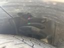 2023 Nissan Aura 6AA-FE13 (UW-6a599c5d05050)[23]