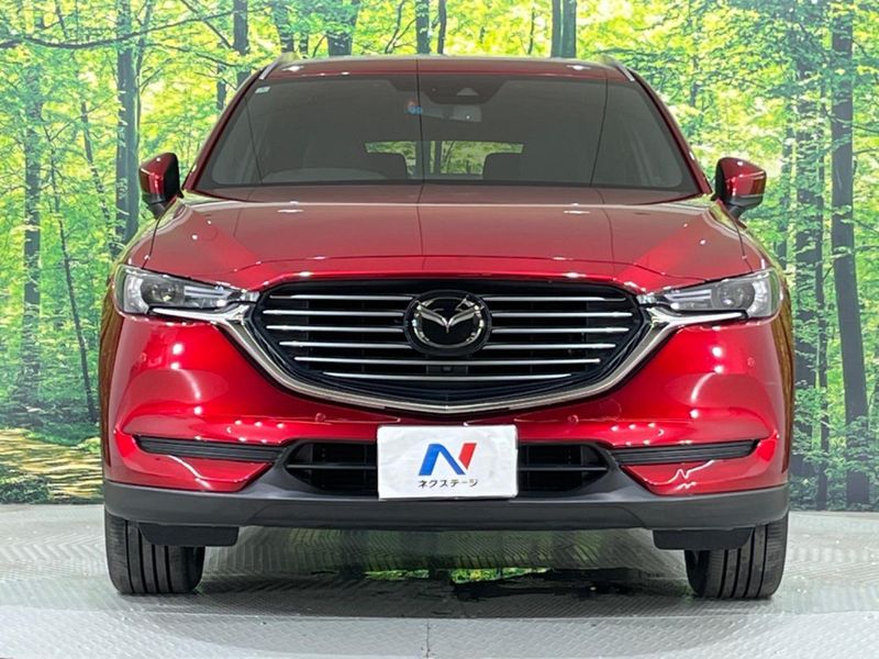 2018 Mazda CX-8 3da-kg2p (UW-6a599d49e2dd8)[19]