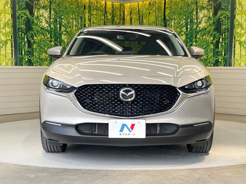 2023 Mazda CX-30 5AA-DMEJ3P (UW-6a5aedc2a946d)[19]