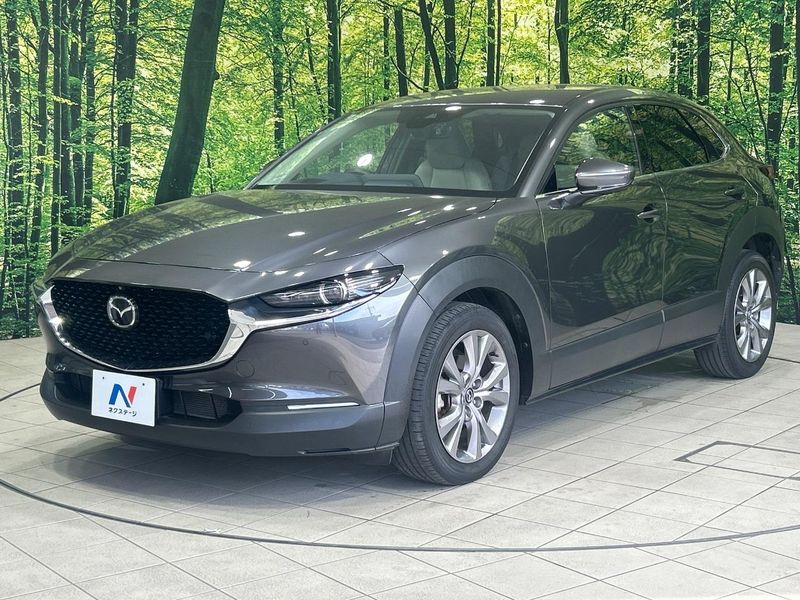 2021 Mazda CX-30 5BA-DMEP (UW-6a5aedc5008a8)[18]