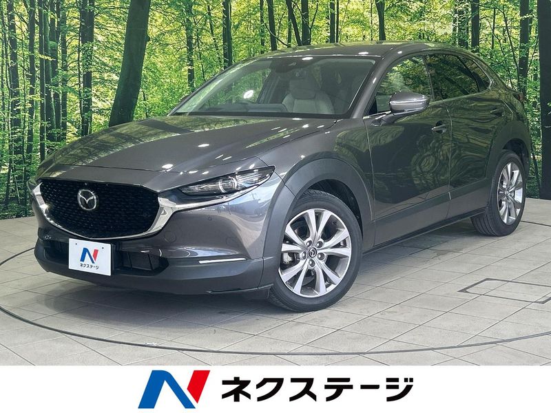 2021 Mazda CX-30 5BA-DMEP (UW-6a5aedc5008a8)[3]
