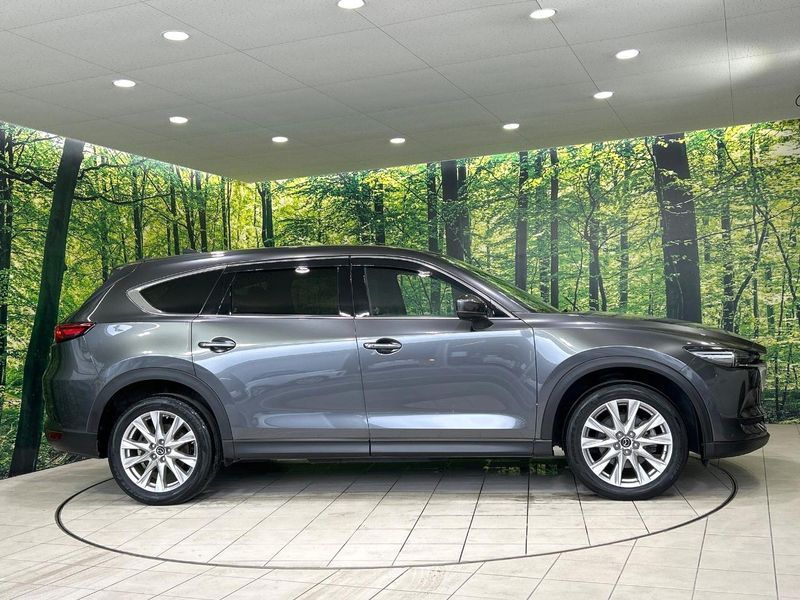2018 Mazda CX-8 3da-kg2p (UW-6a5aeeca1d150)[10]