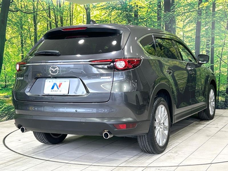 2018 Mazda CX-8 3da-kg2p (UW-6a5aeeca1d150)[9]