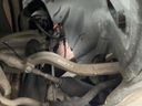 2021 Toyota Supra 3BA-DB02 (UW-6a5d9090b76f6)[13]
