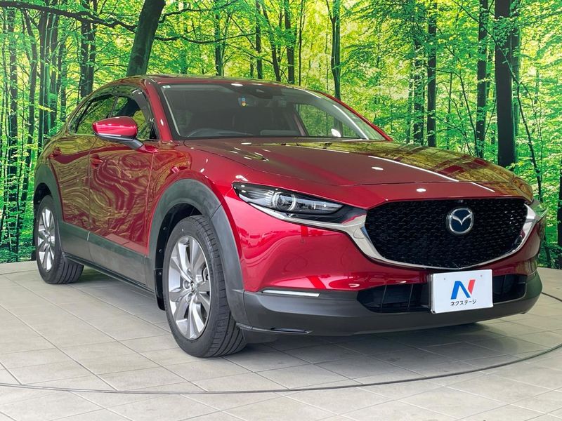 2022 Mazda CX-30 3DA-DM8P (UW-6a5d9097e30ad)[10]