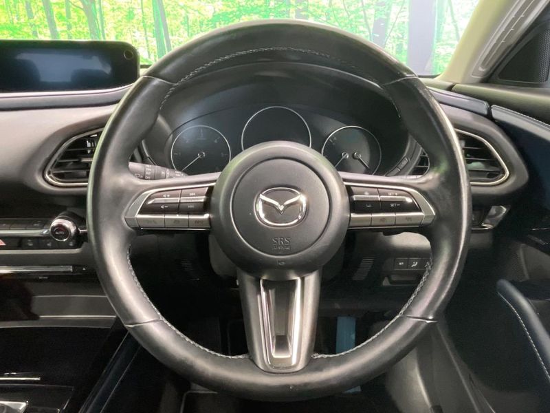 2022 Mazda CX-30 3DA-DM8P (UW-6a5d9097e30ad)[25]