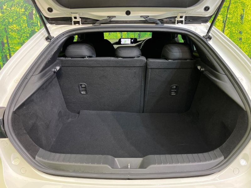 2019 Mazda Mazda 3 Fastback 3DA-BP8P (UW-6a5ee1f9c2bcc)[28]