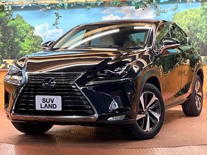 2019 Lexus NX DAA-AYZ10