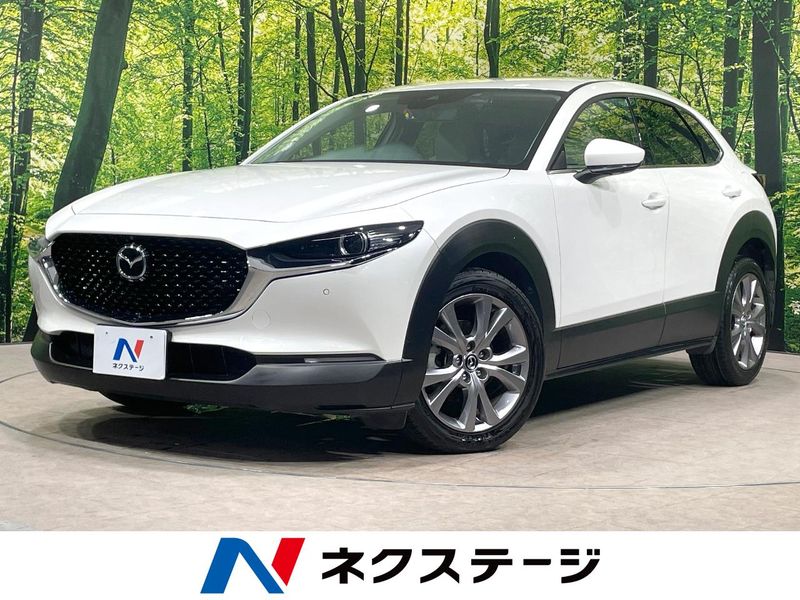 2019 Mazda CX-30 3DA-DM8P (UW-6a6033b8a1d62)[3]