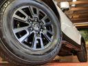 2025 Toyota Land Cruiser 250 3BA-TRJ250W (UW-6a603676da740)[8]