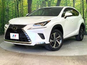 2019 Lexus NX DBA-AGZ10