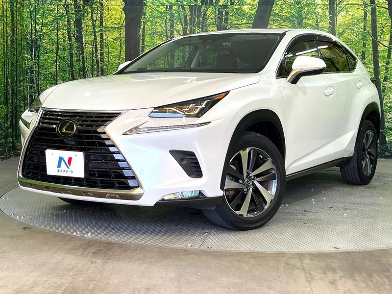 2019 Lexus NX DBA-AGZ10 (UW-6a61abc114432)[0]