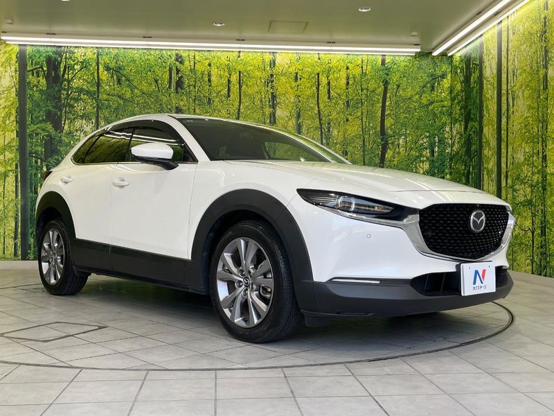 2019 Mazda CX-30 3DA-DM8P (UW-6a61ac424079c)[16]