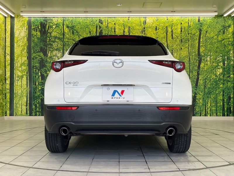 2019 Mazda CX-30 3DA-DM8P (UW-6a61ac424079c)[19]