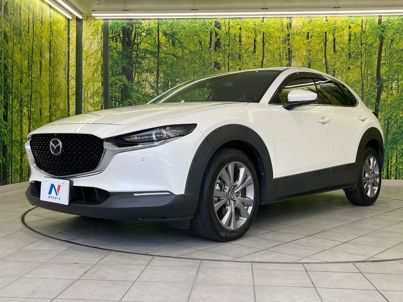 2019 Mazda CX-30 3DA-DM8P (UW-6a61ac424079c)[14]