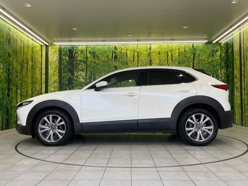 2019 Mazda CX-30 3DA-DM8P (UW-6a61ac424079c)[21]