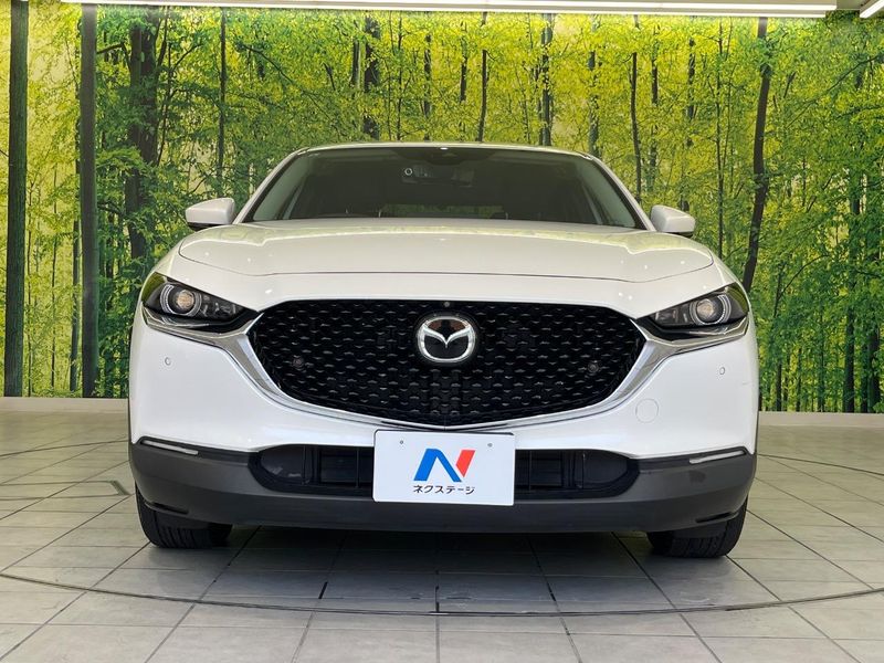 2019 Mazda CX-30 3DA-DM8P (UW-6a61ac424079c)[15]