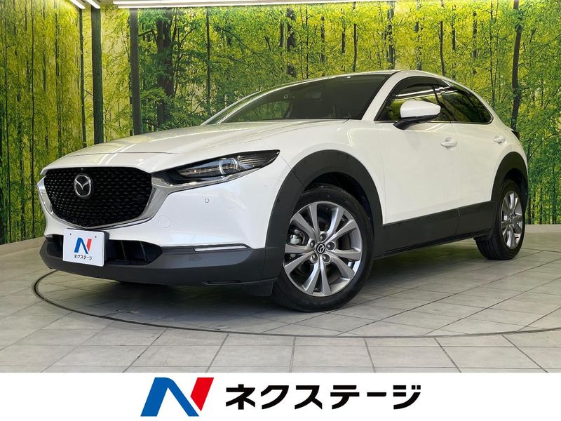 2019 Mazda CX-30 3DA-DM8P (UW-6a61ac424079c)[3]