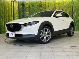 2019 Mazda CX-30 3DA-DM8P