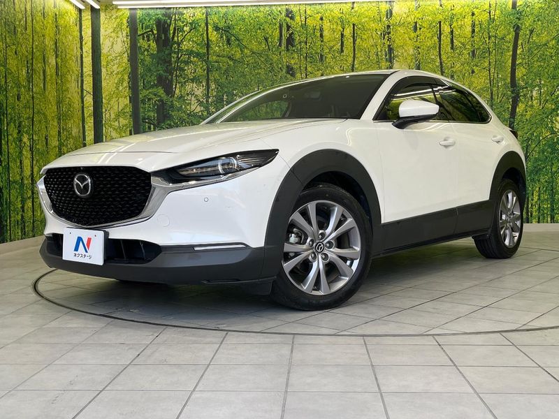2019 Mazda CX-30 3DA-DM8P (UW-6a61ac424079c)[0]