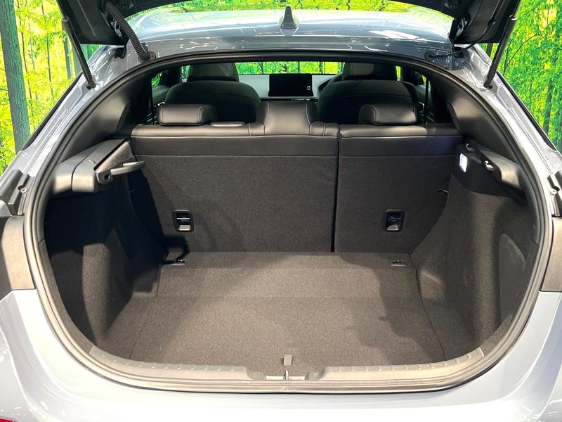 2025 Honda Civic 6AA-FL4 (UW-6a61ac5e0fa35)[18]
