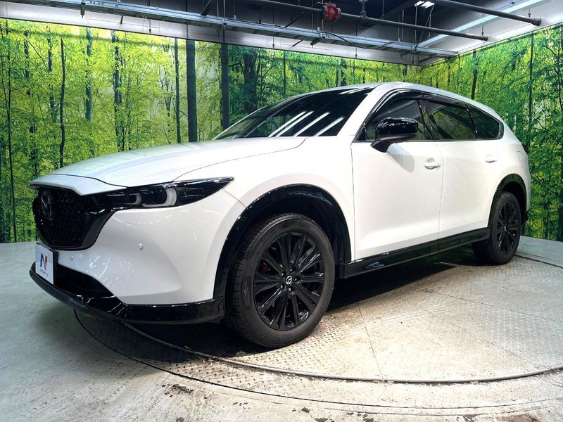 2023 Mazda CX-8 3da-kg2p (UW-6a62d7bf351de)[23]