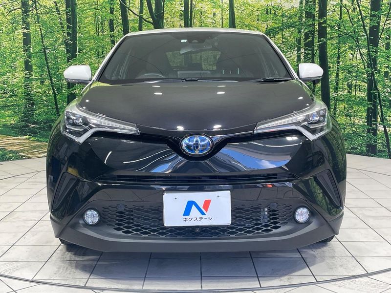 2018 Toyota C-HR DAA-ZYX10 (UW-6a62da1745032)[5]