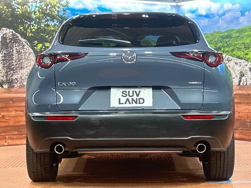 2020 Mazda CX-30 5BA-DMEP (UW-6a64283db2515)[16]