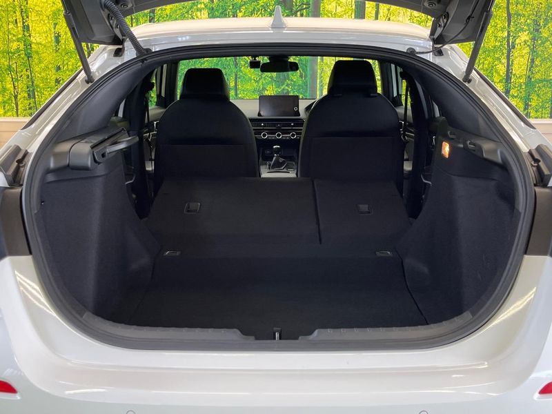 2021 Honda Civic 6BA-FL1 (UW-6a642856ee32b)[10]