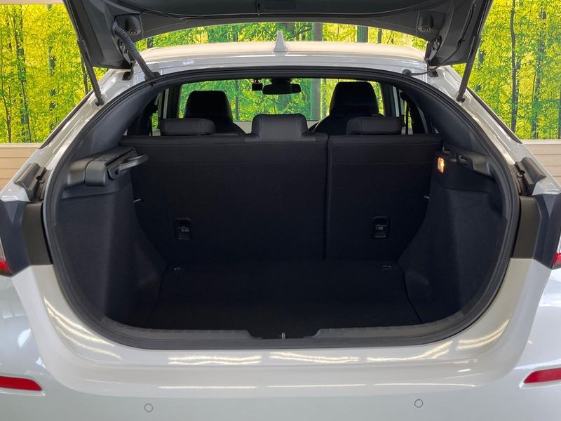 2021 Honda Civic 6BA-FL1 (UW-6a642856ee32b)[8]