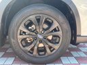 2020 Subaru Forester 4BA-SK5 (UW-6a642ad43c6ca)[17]
