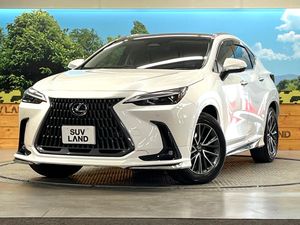2024 Lexus NX 6AA-AAZH20