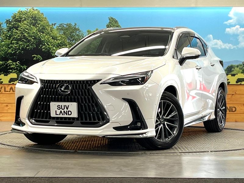 2024 Lexus NX 6AA-AAZH20 (UW-6a65790b09923)[0]