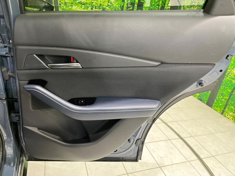 2020 Mazda CX-30 3DA-DM8P (UW-6a6579b7c5e5e)[18]