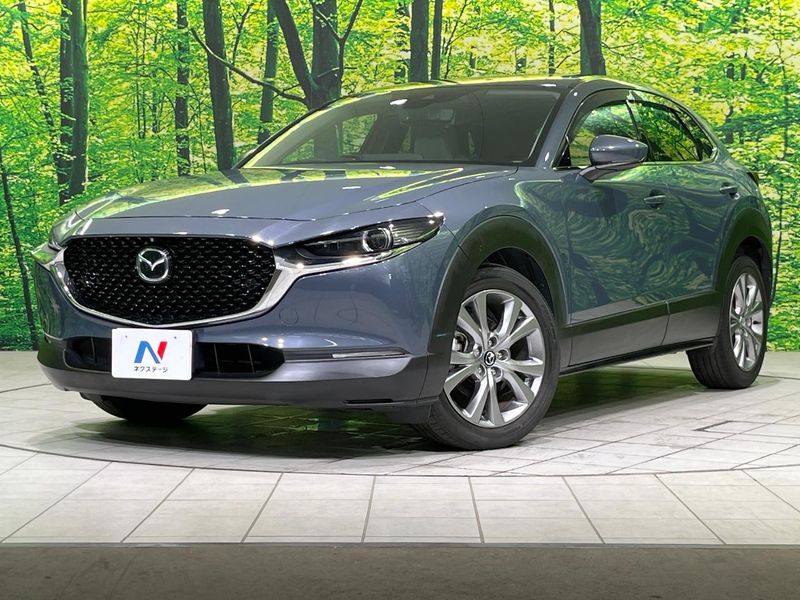 2020 Mazda CX-30 3DA-DM8P (UW-6a6579b7c5e5e)[0]