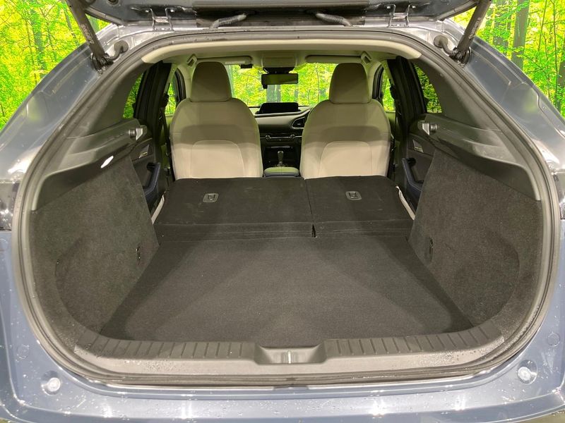 2020 Mazda CX-30 3DA-DM8P (UW-6a6579b7c5e5e)[27]
