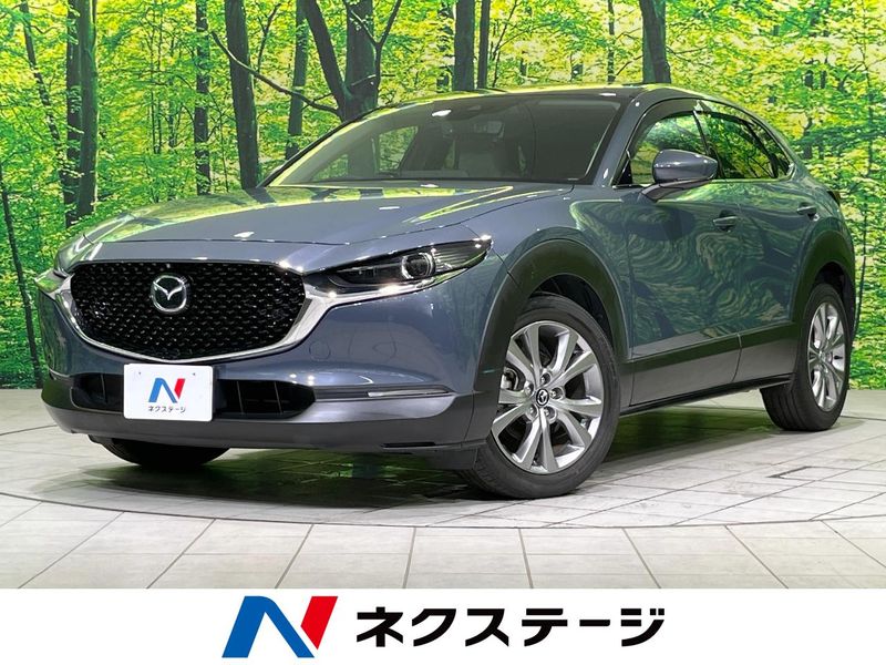 2020 Mazda CX-30 3DA-DM8P (UW-6a6579b7c5e5e)[3]