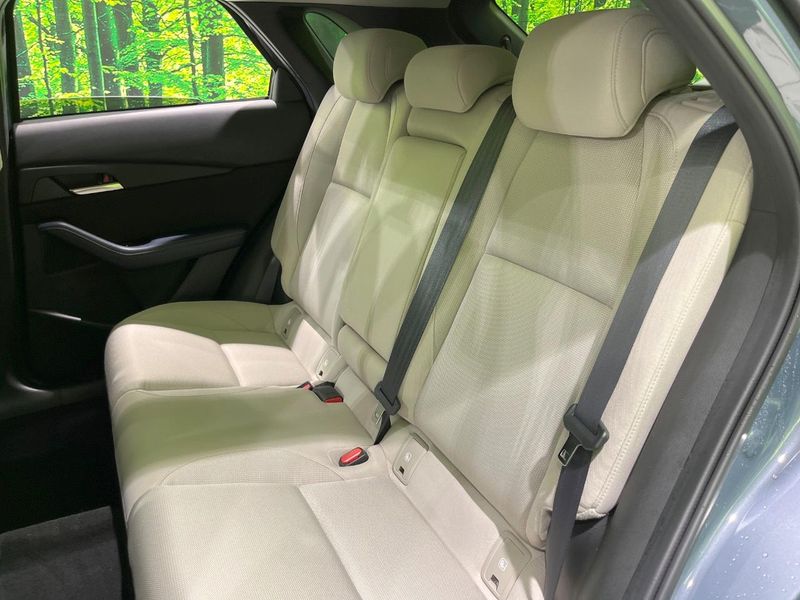 2020 Mazda CX-30 3DA-DM8P (UW-6a6579b7c5e5e)[11]
