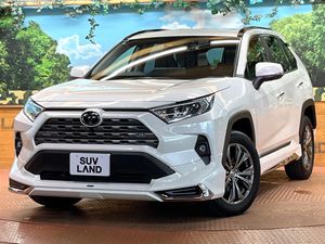 2025 Toyota RAV4 6BA-MXAA54